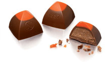 Neuhaus 1857 Praline Chocolate