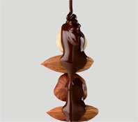 Neuhaus Pralines Chocolates